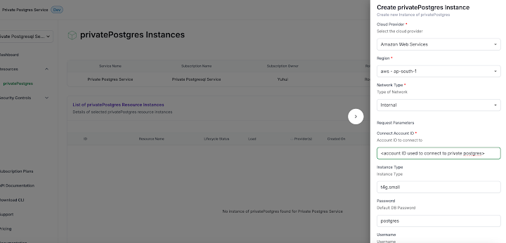 Building Private Service On The Cloud